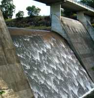 HINZE DAM 2006(027)